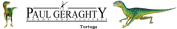 Tortuga